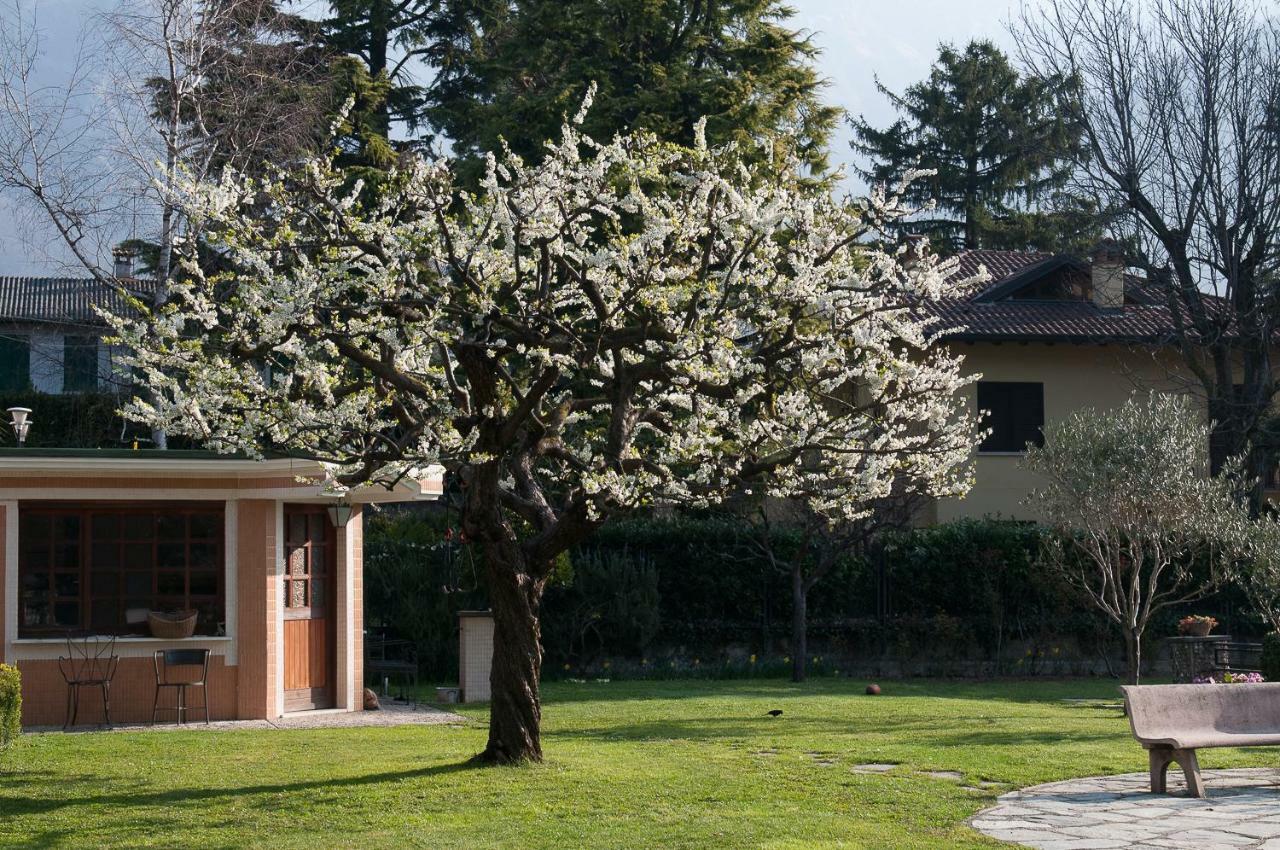 Casetta Del Molo Mandello del Lario Zewnętrze zdjęcie
